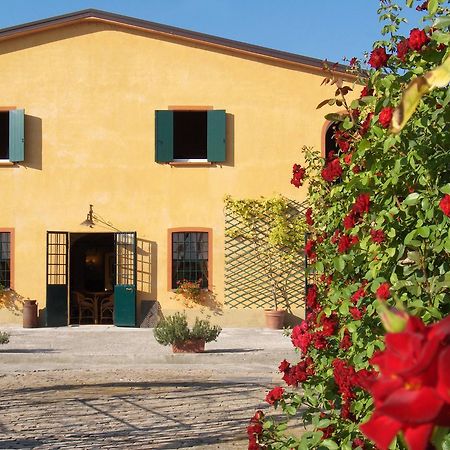 Agriturismo Le Colombaie Busseto Exteriör bild