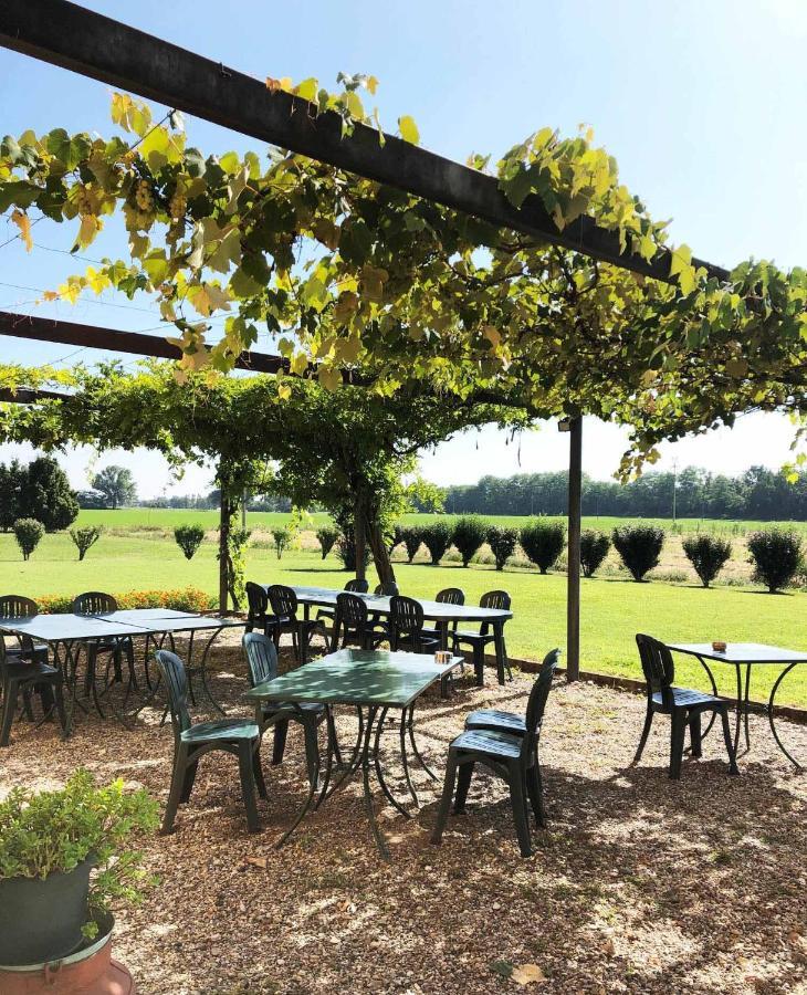 Agriturismo Le Colombaie Busseto Exteriör bild